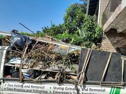 Best Same-Day Junk Removal Services  in Forest Hills, MI